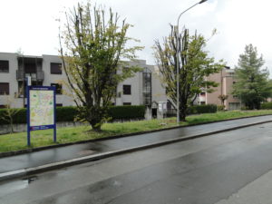DSC04784